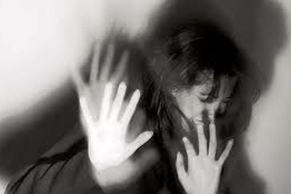 بسامد خشونت خانگی بیش‌تر از انواع دیگر است