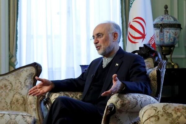 صالحی: اگر نتوانیم نفتمان را بفروشیم، ماندن در برجام مفید نیست