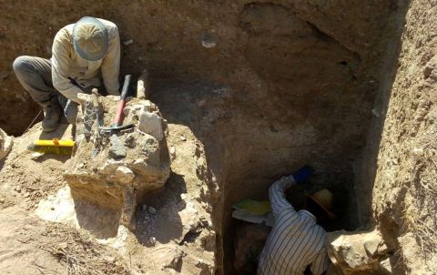 کشف نقوش پیکره انسان در بازه هور مشهد