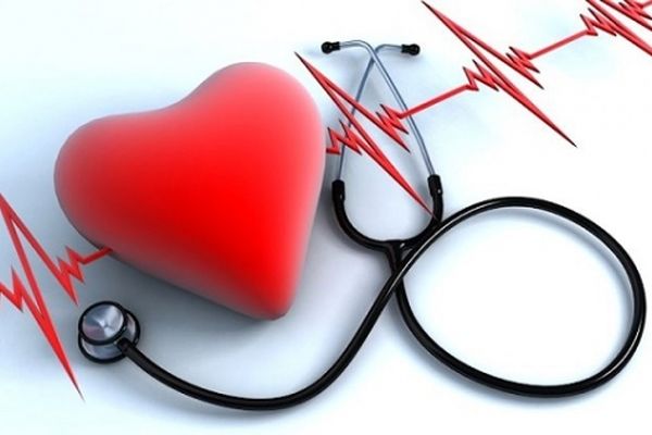 قلب و ۴۱ حقیقیت جالب درباره آن