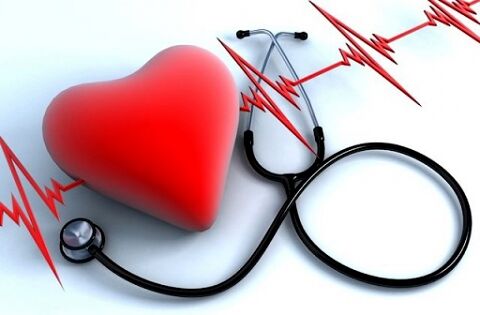 قلب و ۴۱ حقیقیت جالب درباره آن
