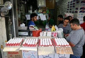 وقتی تخم مرغ«طاقچه بالا»می گذارد