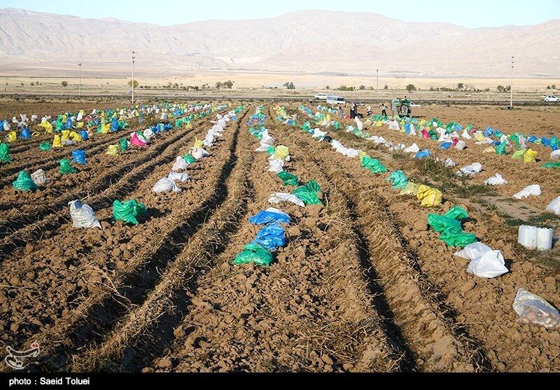 توصیه‌های هواشناسی کشاورزی تا ۴ آذر ماه به تفکیک استان