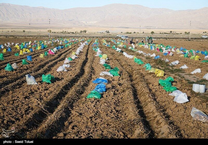 توصیه‌های هواشناسی کشاورزی تا ۴ آذر ماه به تفکیک استان