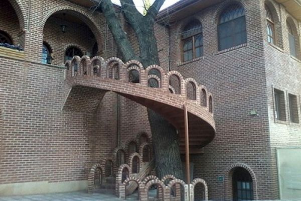 عجیب‌ترین درختان در بافت شهری و روستایی ایران