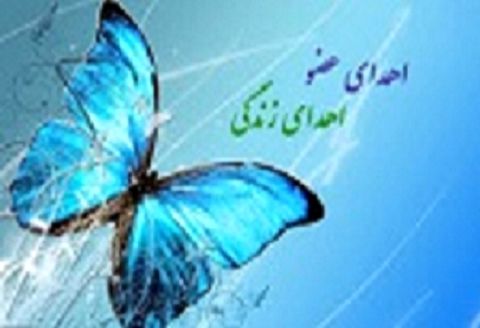 اعضای بدن بیمار مرگ مغزی در مشهد جان سه بیمار را نجات داد