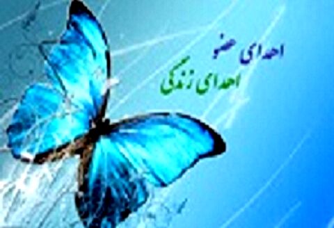 اعضای بدن بیمار مرگ مغزی در مشهد جان سه بیمار را نجات داد