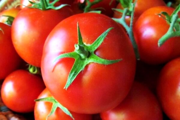 قیمت گوجه فرنگی به ۹هزار تومان رسید