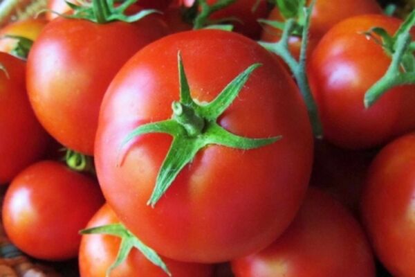 قیمت گوجه فرنگی به ۹هزار تومان رسید