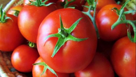 قیمت گوجه فرنگی به ۹هزار تومان رسید