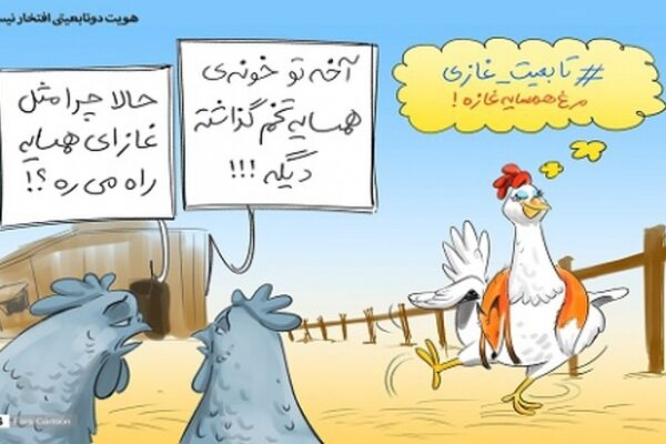 هویت دوتابعیتی افتخار نیست!