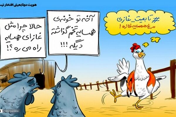 هویت دوتابعیتی افتخار نیست!