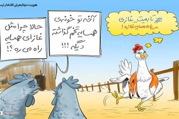 هویت دوتابعیتی افتخار نیست!