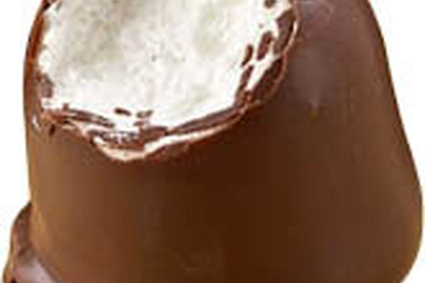 بستنی زمستانی خانگی+ طرز تهیه