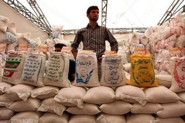 برنج ایرانی گران شد خارجی ارزان!