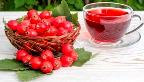 درمان استرس با میوه زالزالک