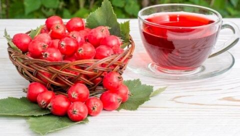 درمان استرس با میوه زالزالک