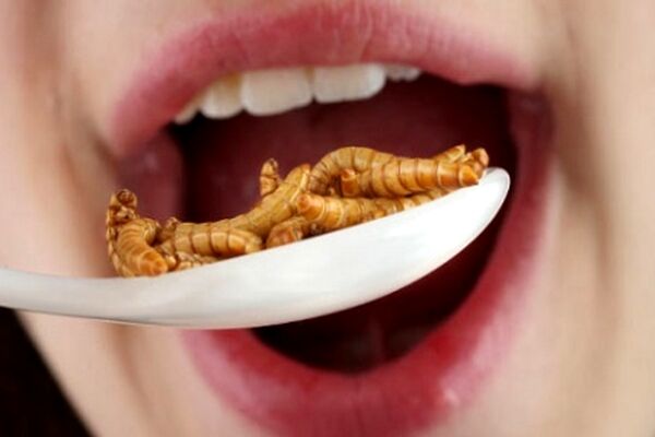 غذاهای عجیب و غریب در جهان