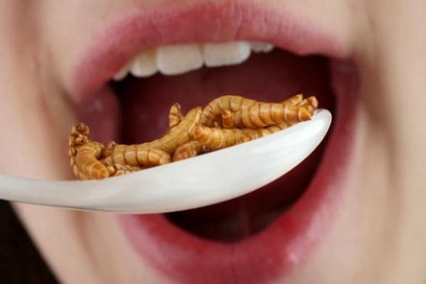 غذاهای عجیب و غریب در جهان