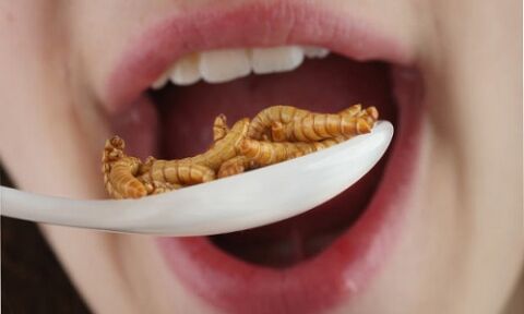 غذاهای عجیب و غریب در جهان
