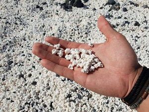 ساحلی زیبا که به جای ماسه پاپ کورن دارد+عگس