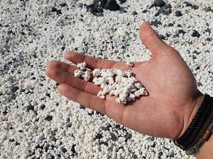 ساحلی زیبا که به جای ماسه پاپ کورن دارد+عگس
