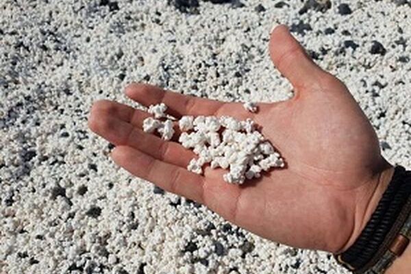 ساحلی زیبا که به جای ماسه پاپ کورن دارد+عگس