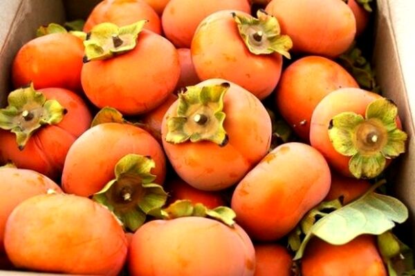 مراقبت از پوست با میوه های پاییزی!!