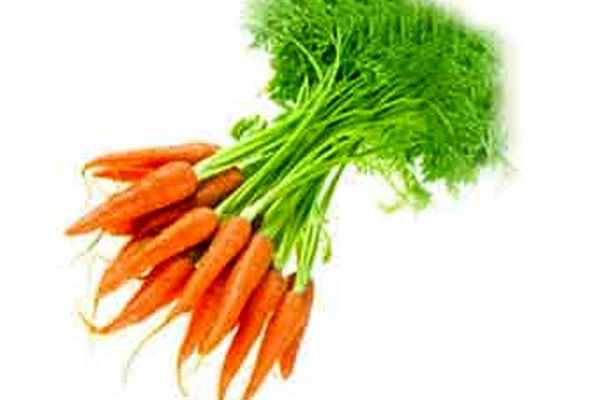 معجزات هویج در چاقی و لاغری