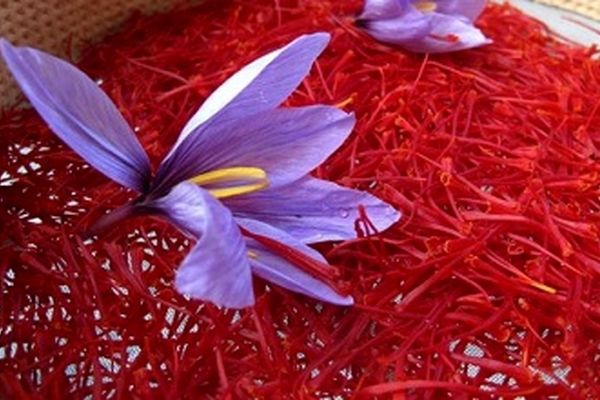 قاچاق زعفران ایرانی این‌بار در چین