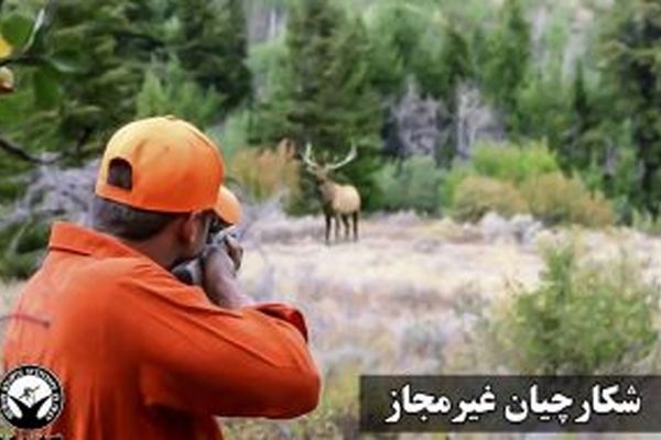 دستگیری شکارچی متخلف در درگز