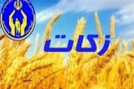رشد ۱۶ درصدی پرداخت زکات به کمیته امداد خراسان رضوی