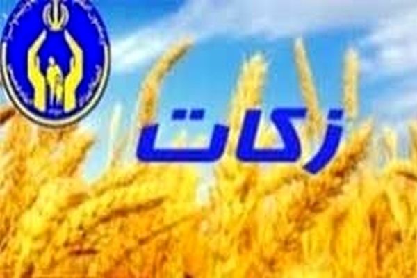 رشد ۱۶ درصدی پرداخت زکات به کمیته امداد خراسان رضوی
