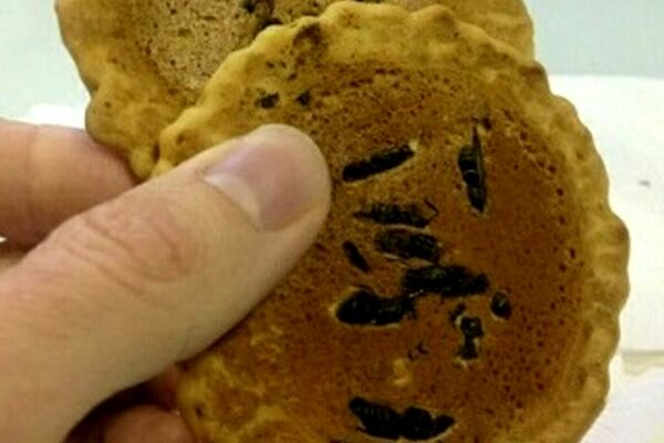 شیرینی زنبوری یکی از خوراکیهای عجیب ژاپن+عکس
