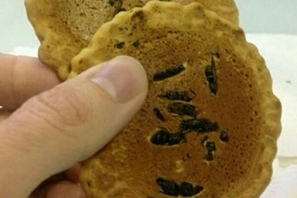 شیرینی زنبوری یکی از خوراکیهای عجیب ژاپن+عکس