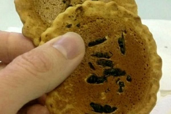 شیرینی زنبوری یکی از خوراکیهای عجیب ژاپن+عکس