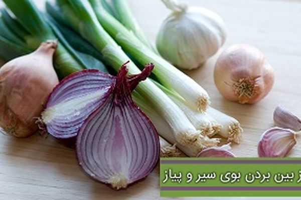 بوی سیر و پیاز را چگونه نابود کنیم؟