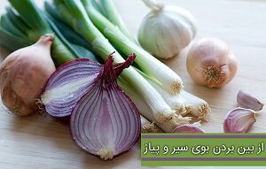 بوی سیر و پیاز را چگونه نابود کنیم؟