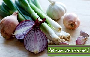 بوی سیر و پیاز را چگونه نابود کنیم؟