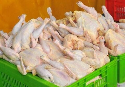 طرح برخورد با عاملان بی ثباتی بازار مرغ کلید خورد