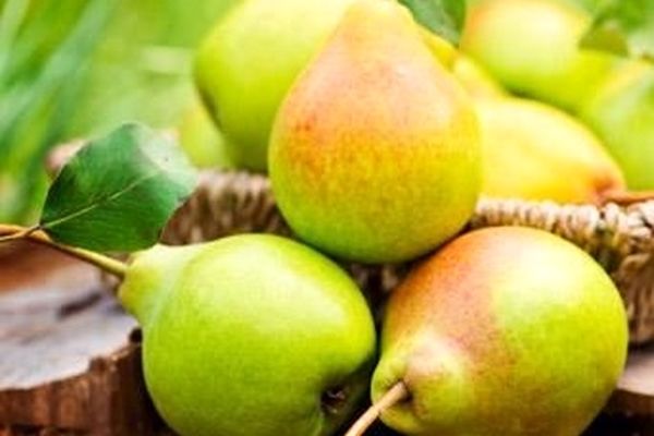 چاقی را با خوردن این میوه ها شکست دهید