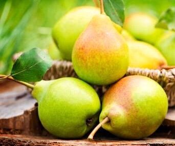 چاقی را با خوردن این میوه ها شکست دهید