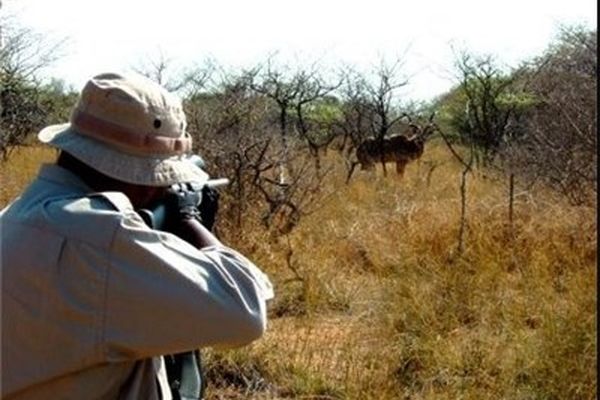 دستگیری شکارچیان غیر مجاز و متخلفان زیست محیطی