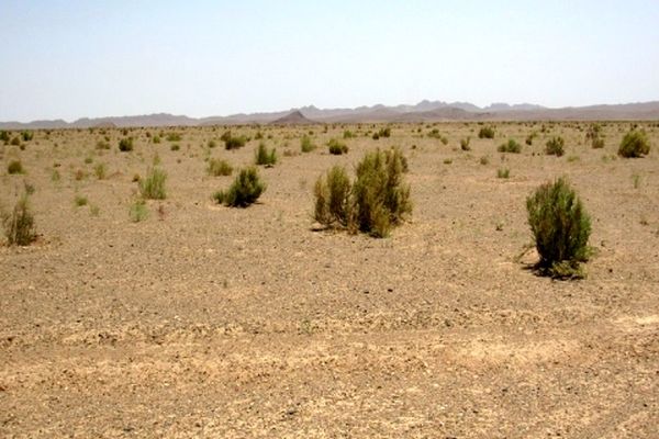 20 میلیارد ریال به طرح ترسیب کربن در خراسان رضوی اختصاص یافت