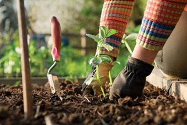 سرگرمی های مفید برای بهبود روحیه و زندگی را بشناسیم