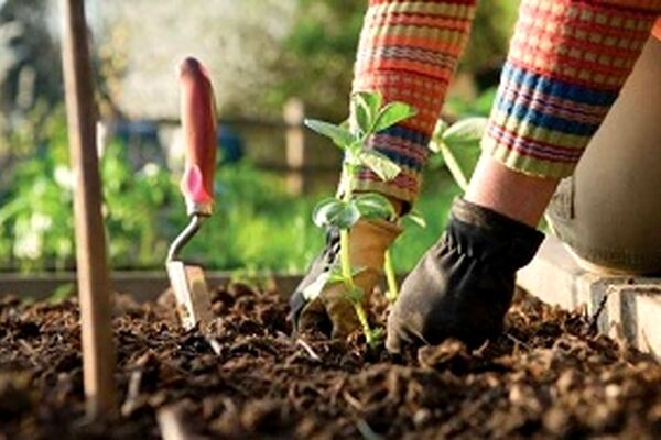 سرگرمی های مفید برای بهبود روحیه و زندگی را بشناسیم