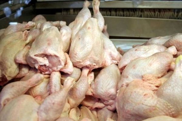 چالش نظارت بر نرخ گوشت مرغ