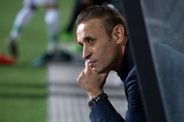 گل محمدی: از آمدن به مشهد پشیمانم کردند