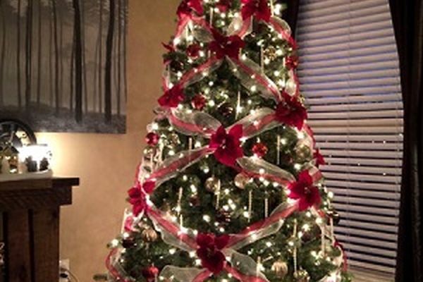 جدیدترین درخت‌های کریسمس