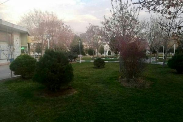 بوستان شمشاد در شرف تخریب